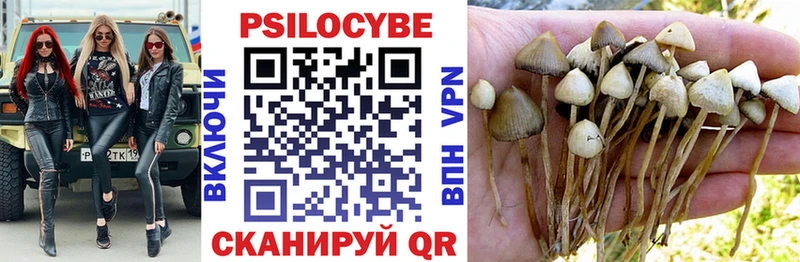 Псилоцибиновые грибы мицелий  Элиста 