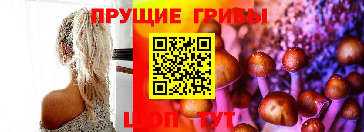 Галлюциногенные грибы MAGIC MUSHROOMS  Вход с VPN  Элиста 
