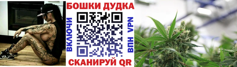 Марихуана семена  mega как зайти  Элиста 
